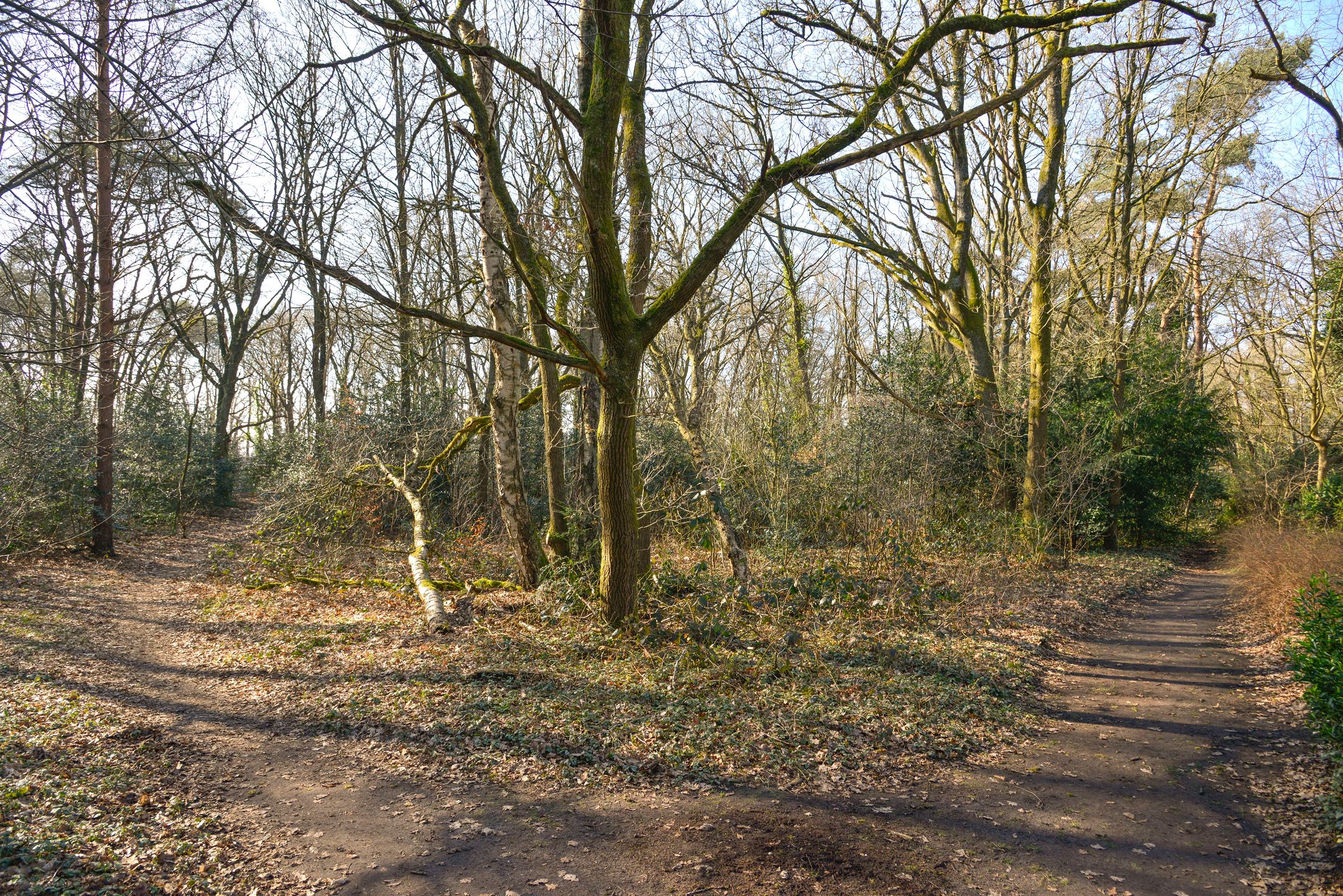 Foto 18 van Van Gelderlaan 32