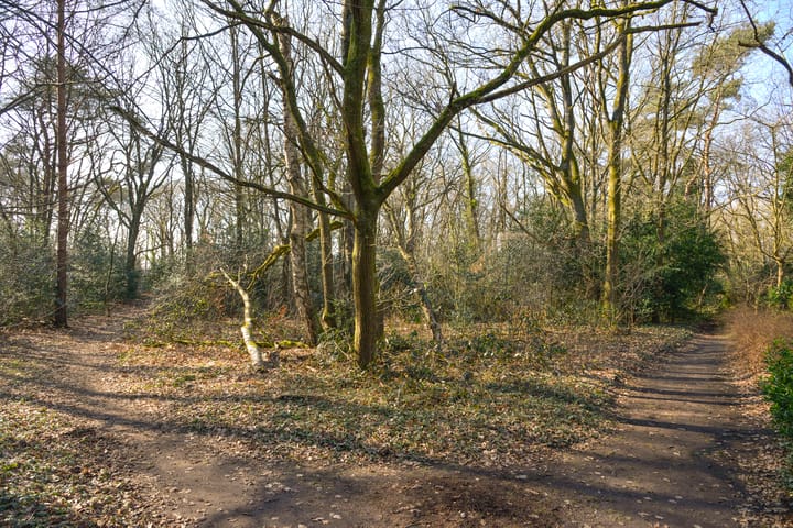 Foto 18 van Van Gelderlaan 32