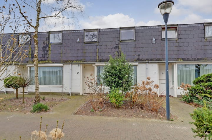 Foto 1 van Zandtong 31