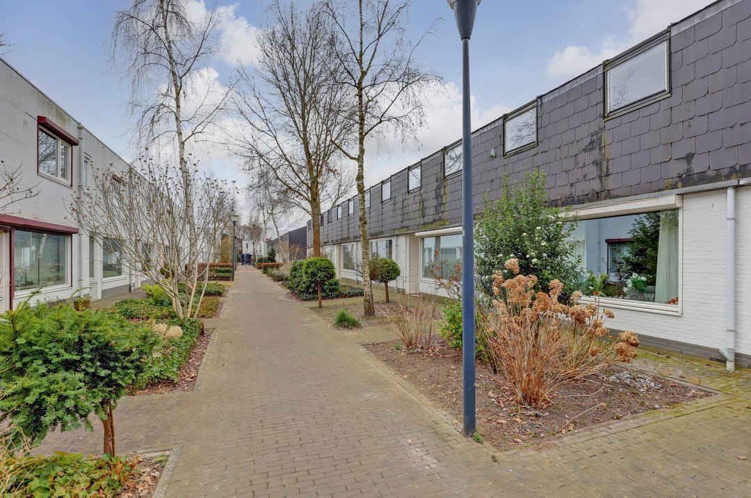 Foto 31 van Zandtong 31