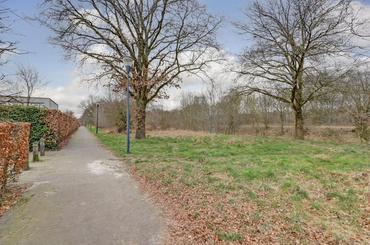 Foto 33 van Zandtong 31