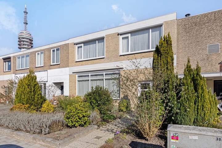 Foto 50 van Roemer Visscherlaan 13