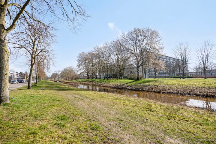 Foto 53 van Roemer Visscherlaan 13