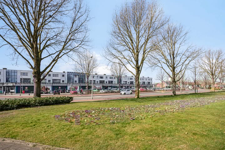 Foto 54 van Roemer Visscherlaan 13