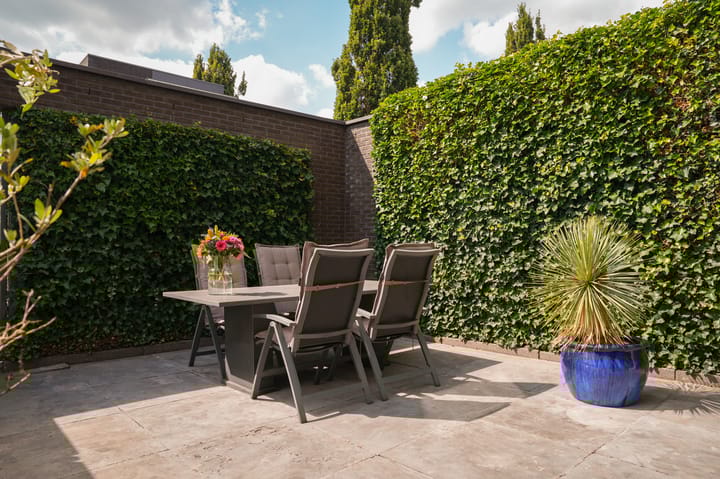 Foto 16 van Villa Dotterbloem 1