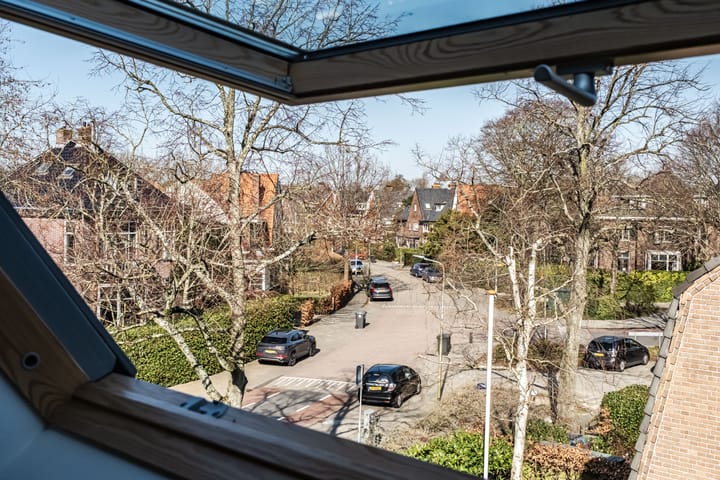 Photo 32 of Iepenlaan 32