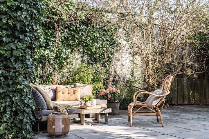 Photo 37 of Iepenlaan 32