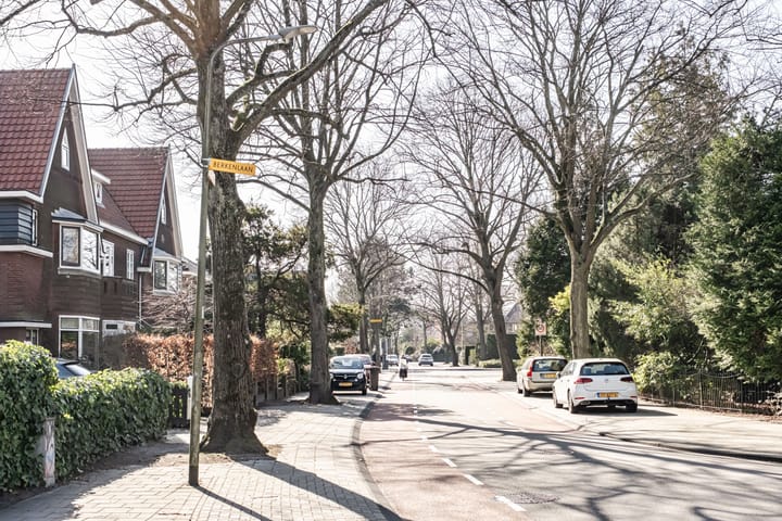 Photo 41 of Iepenlaan 32