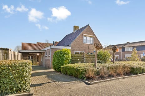 undefined main image