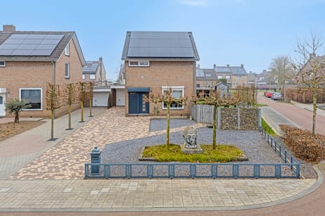 undefined main image