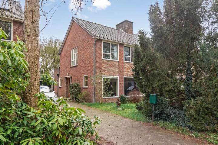 Foto 36 van Irenelaan 41