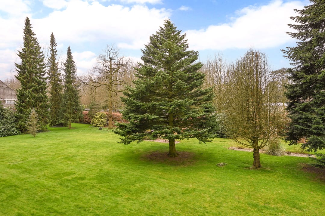 Foto 17 van Chopinlaan 2-B6