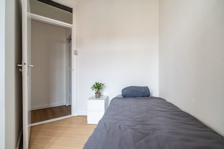 Photo 23 of Pasteurstraat 93