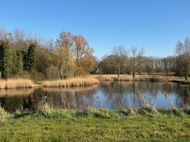 Foto 41 van Kanaalweide 3-A