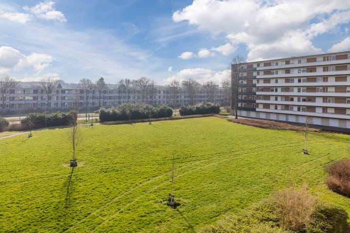 Foto 26 van Albert Cuypstraat 252