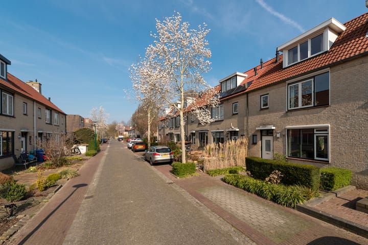 Foto 6 van Ganzebloem 4