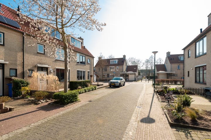 Foto 7 van Ganzebloem 4