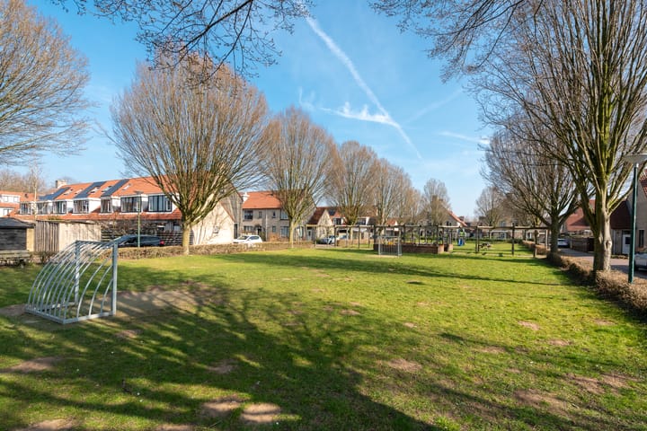 Foto 44 van Ganzebloem 4