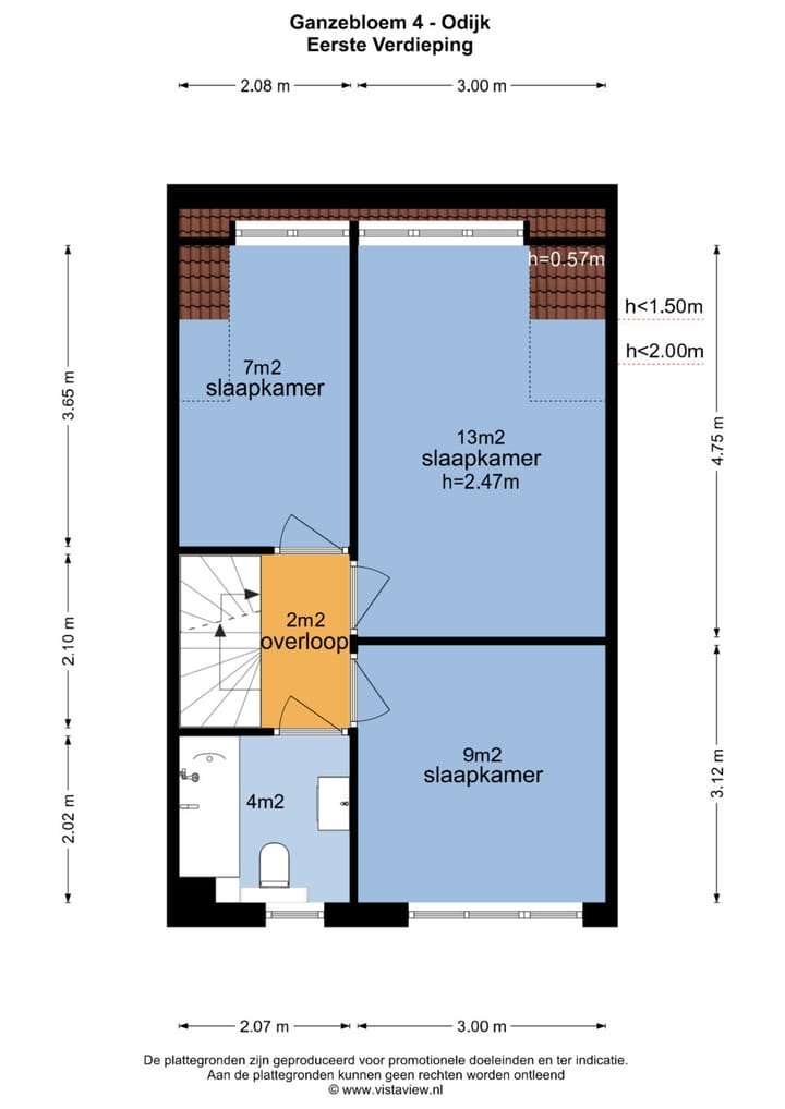 Foto 50 van Ganzebloem 4