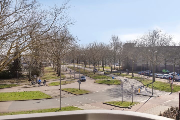 Foto 30 van Lisztgaarde 358