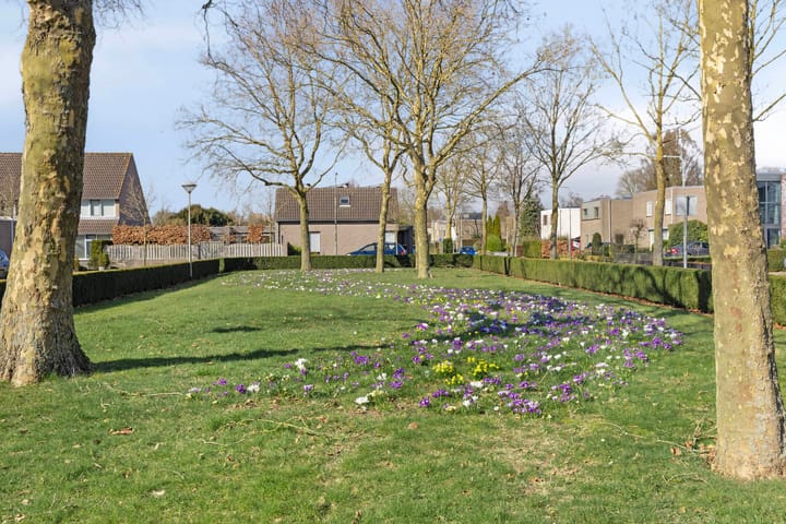 Foto 35 van Lisztgaarde 358