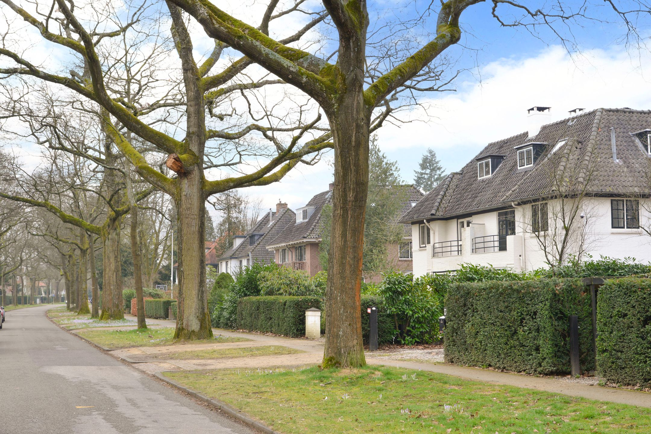 Foto 30 van Aristoteleslaan 45