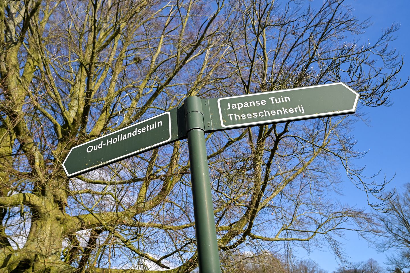 Foto 20 van Hart Nibbrigkade 97