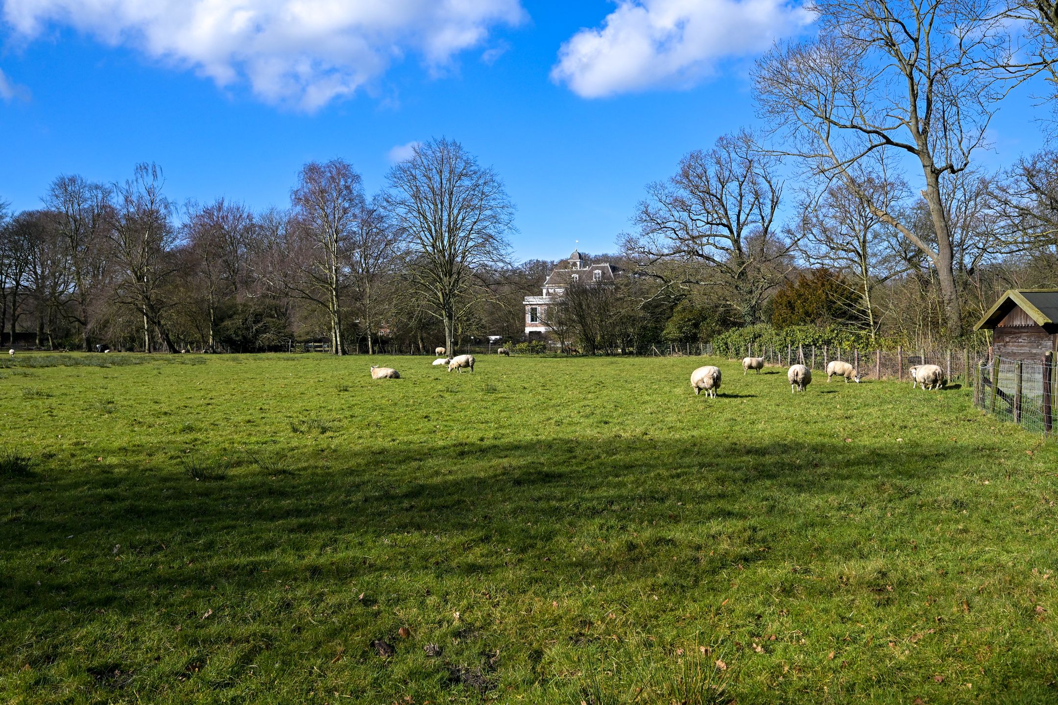 Foto 21 van Hart Nibbrigkade 97