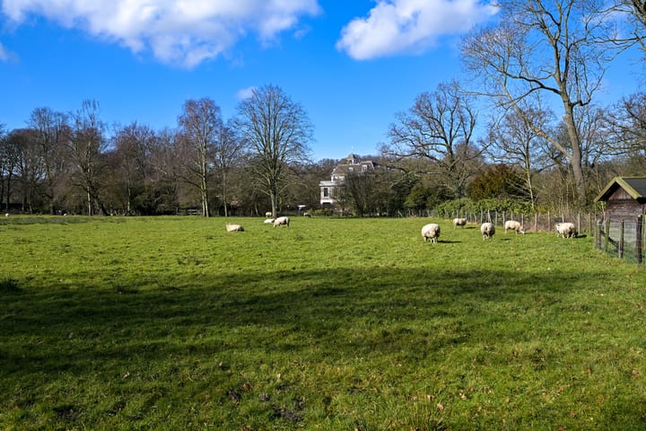 Foto 21 van Hart Nibbrigkade 97