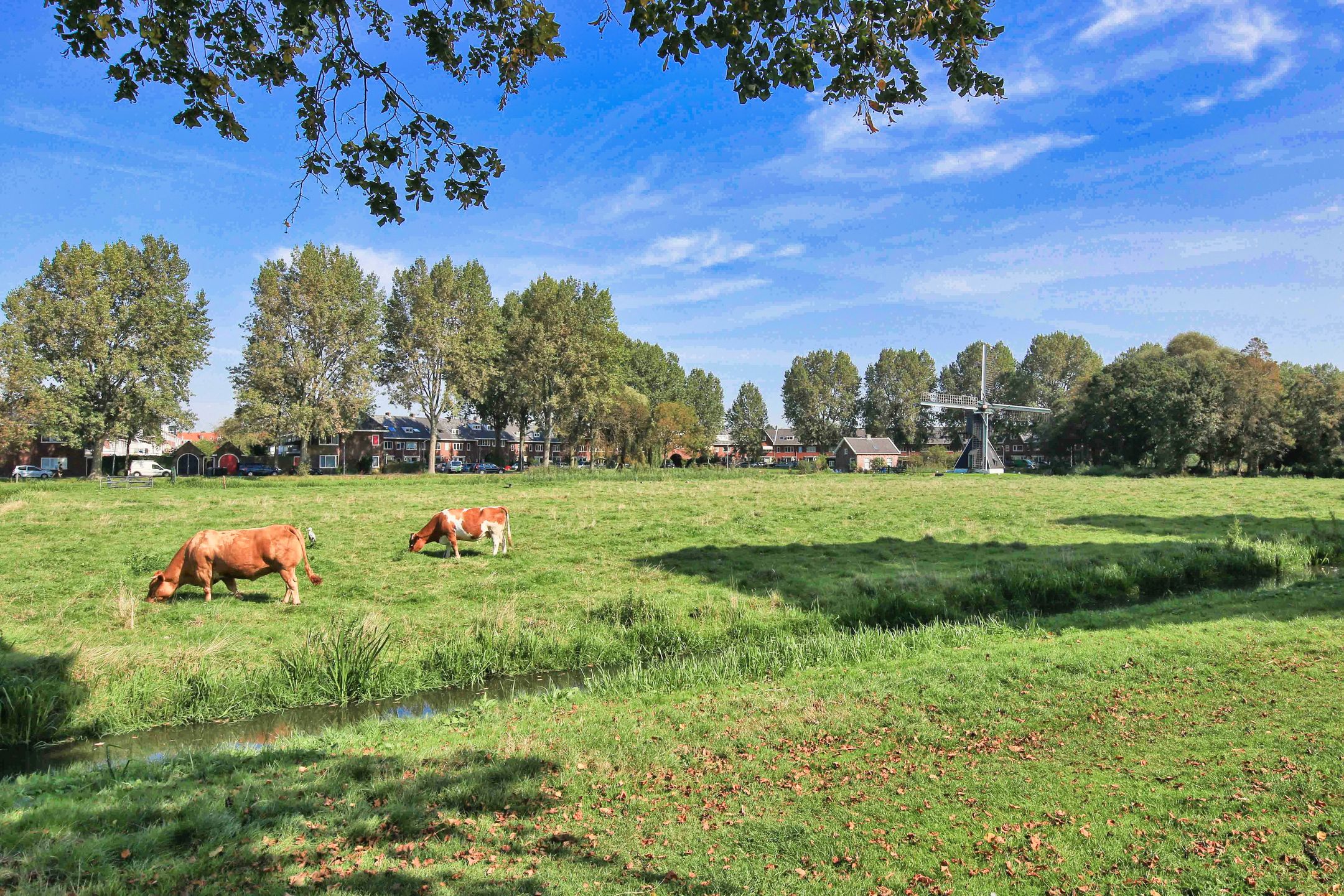 Foto 57 van Stuyvesantstraat 77-RD