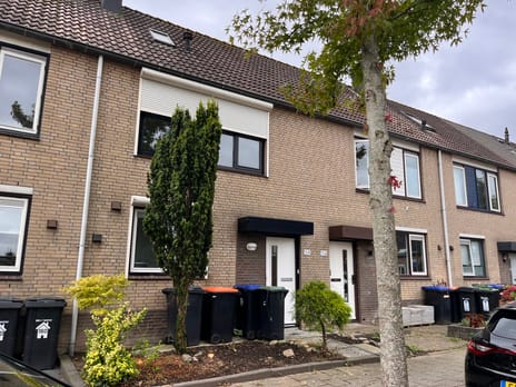 undefined main image