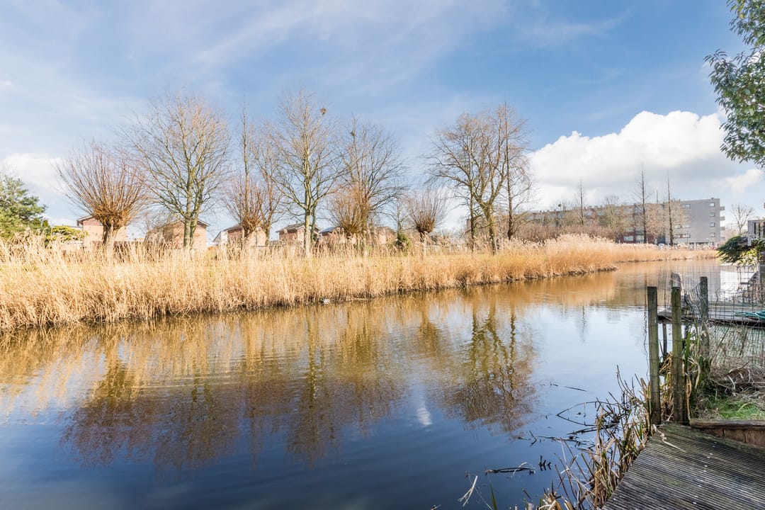 Foto 56 van Anna Clasina op 't Landtplantsoen 19