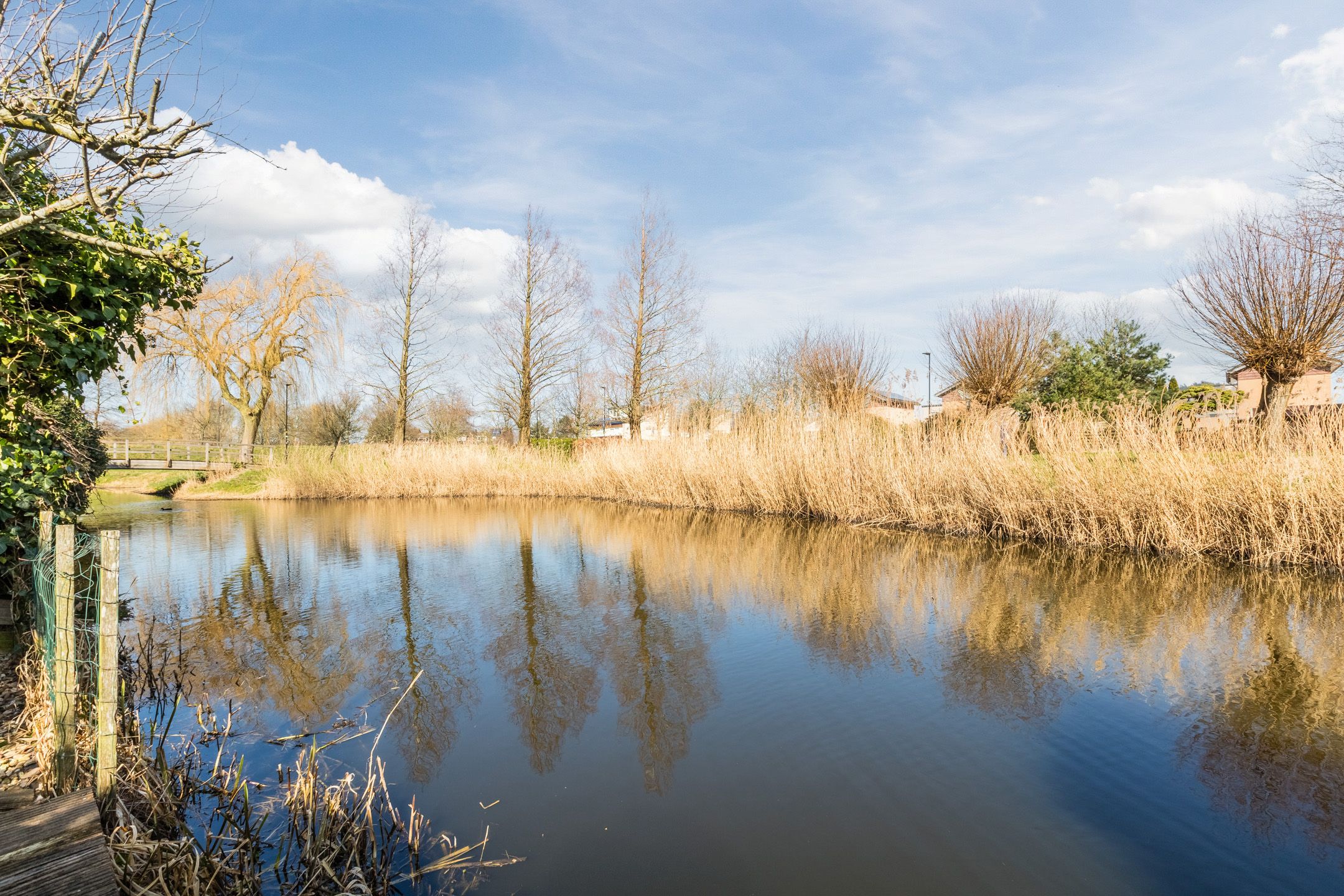 Foto 57 van Anna Clasina op 't Landtplantsoen 19