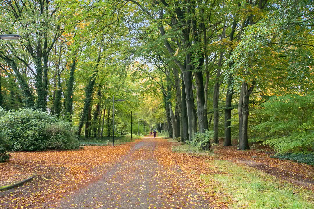 Foto 38 van Zonnelaan 30