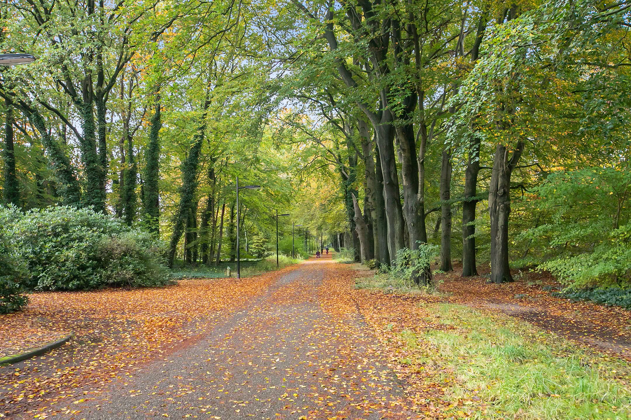 Foto 39 van Zonnelaan 30