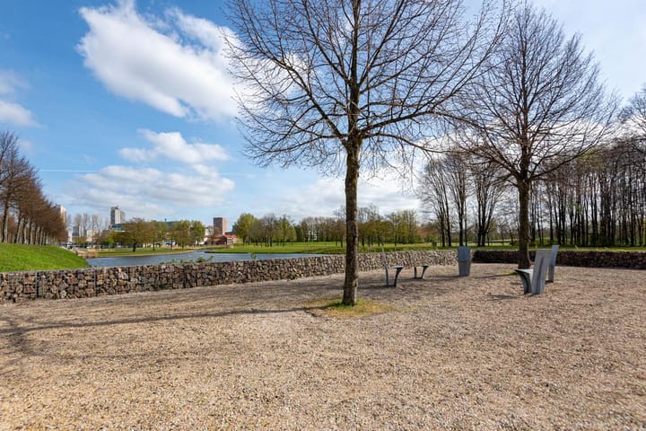 Foto 29 van Strevelsweg 826