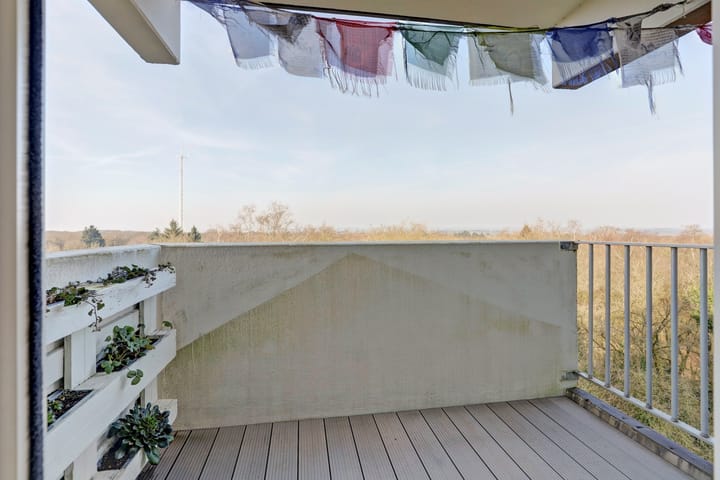 Foto 12 van Koningsberg 74