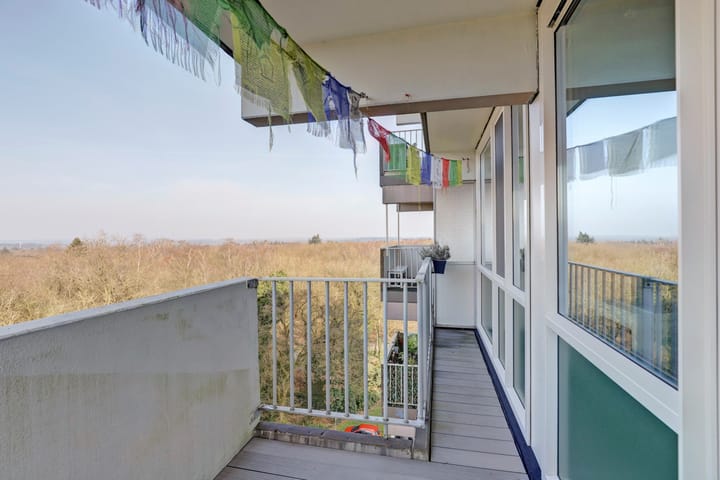 Foto 14 van Koningsberg 74