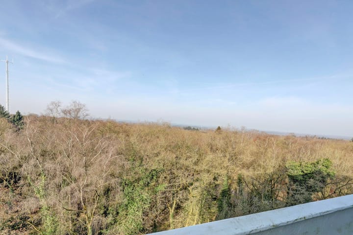 Foto 24 van Koningsberg 74