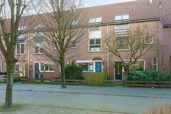undefined main image