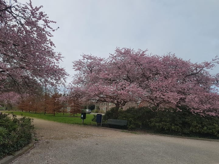 Foto 42 van Leusderweg 278