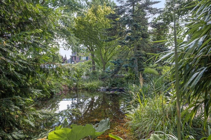 Foto 31 van Venloseweg 29