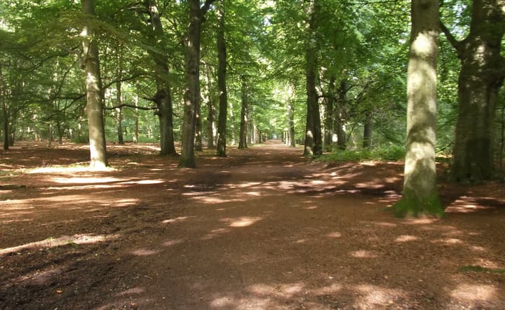 Foto 47 van Leusderweg 278