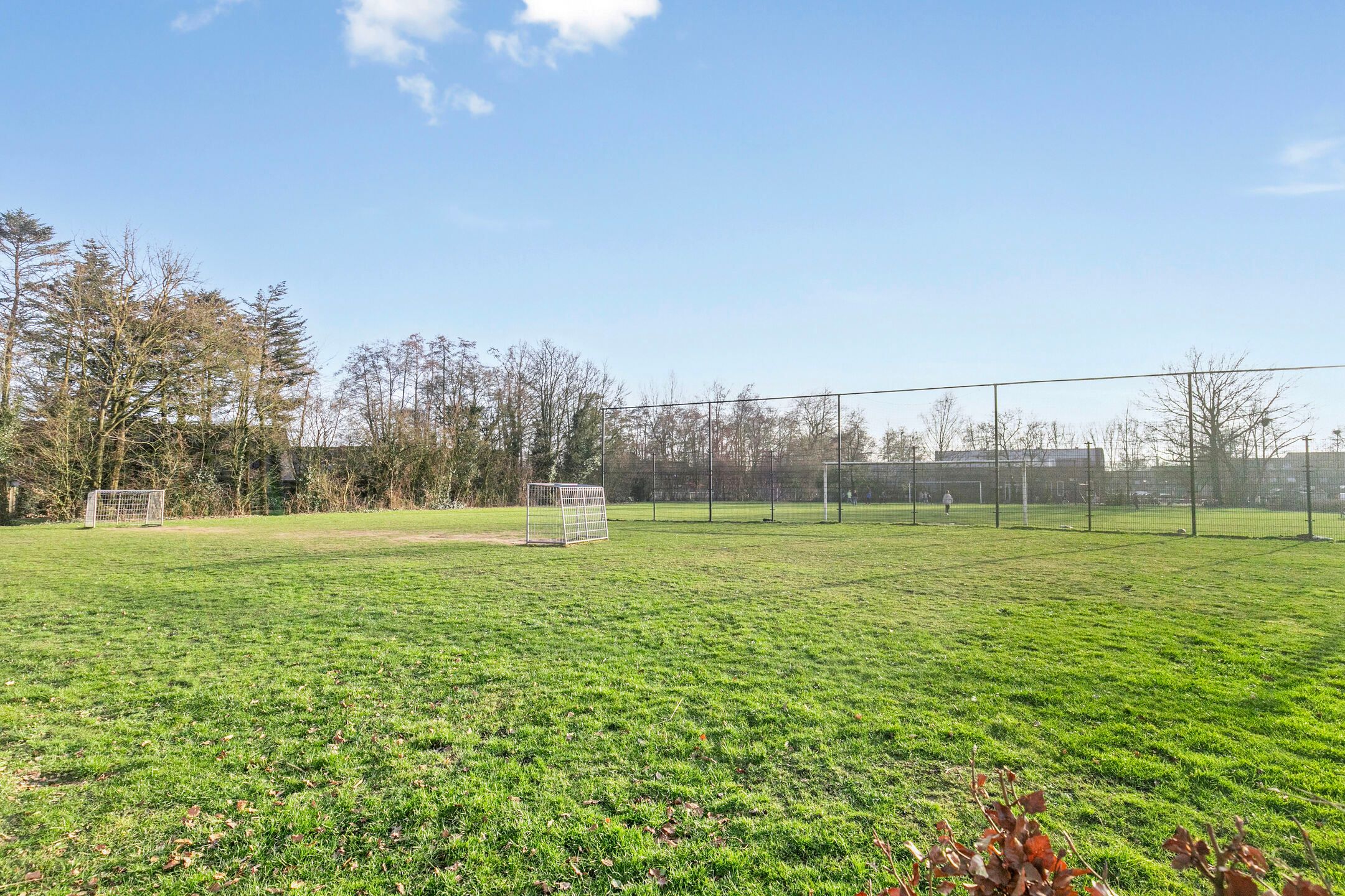 Foto 33 van Brahmslaan 38