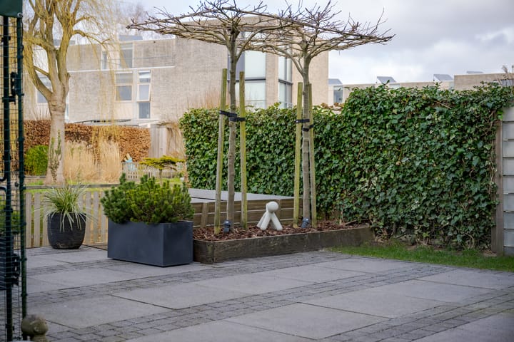 Foto 51 van Hofvliet 164