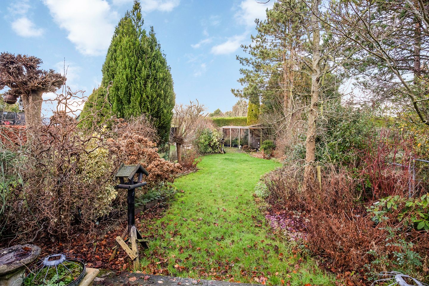 Foto 5 van Aalsmeerderdijk 539