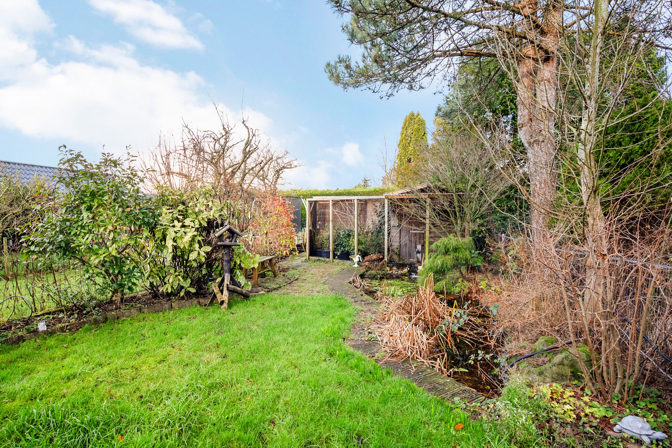 Foto 39 van Aalsmeerderdijk 539