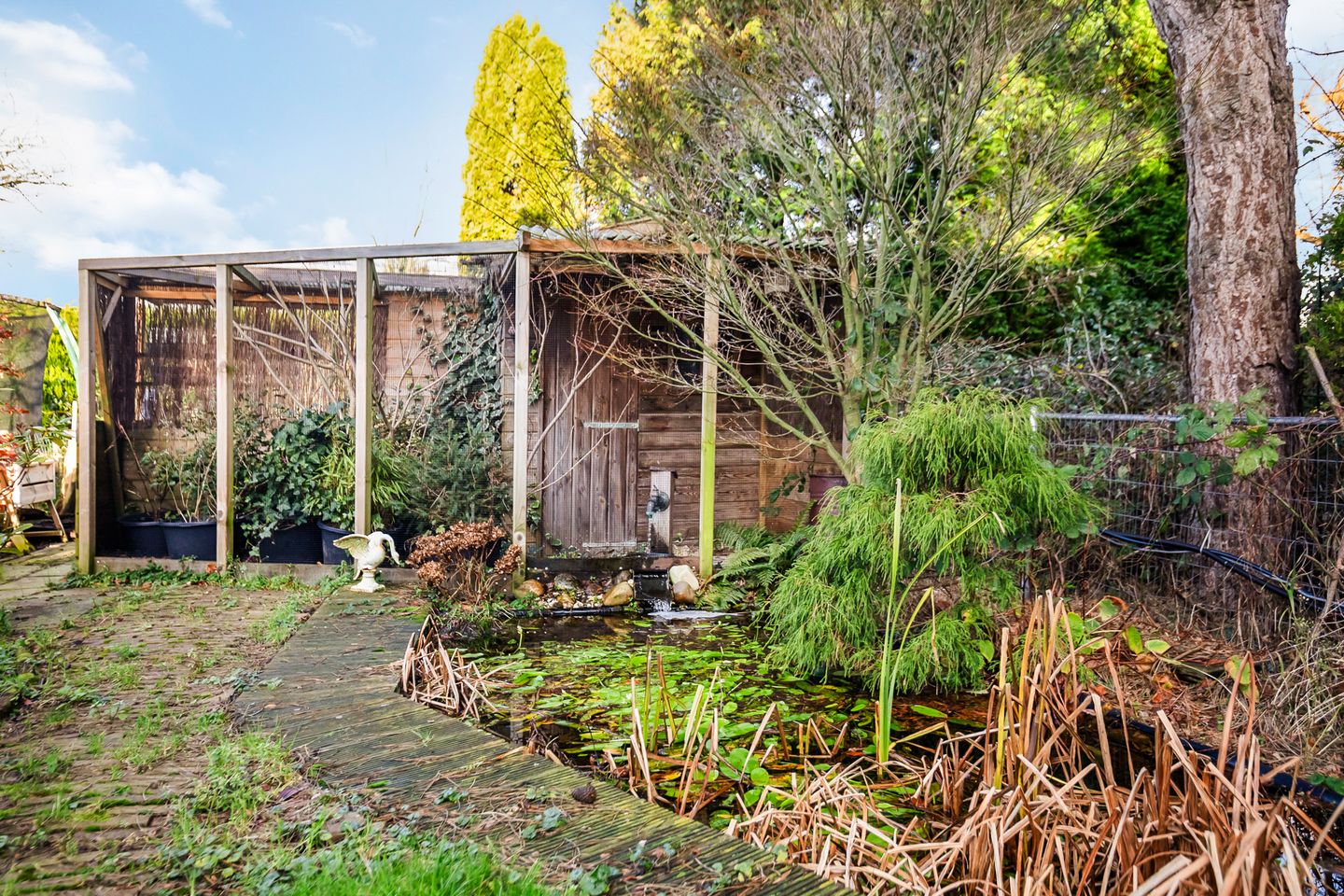 Foto 40 van Aalsmeerderdijk 539