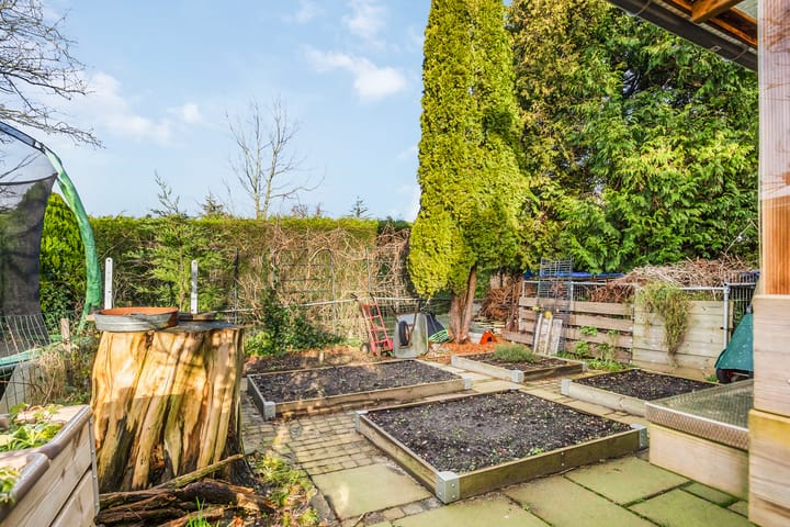 Foto 41 van Aalsmeerderdijk 539