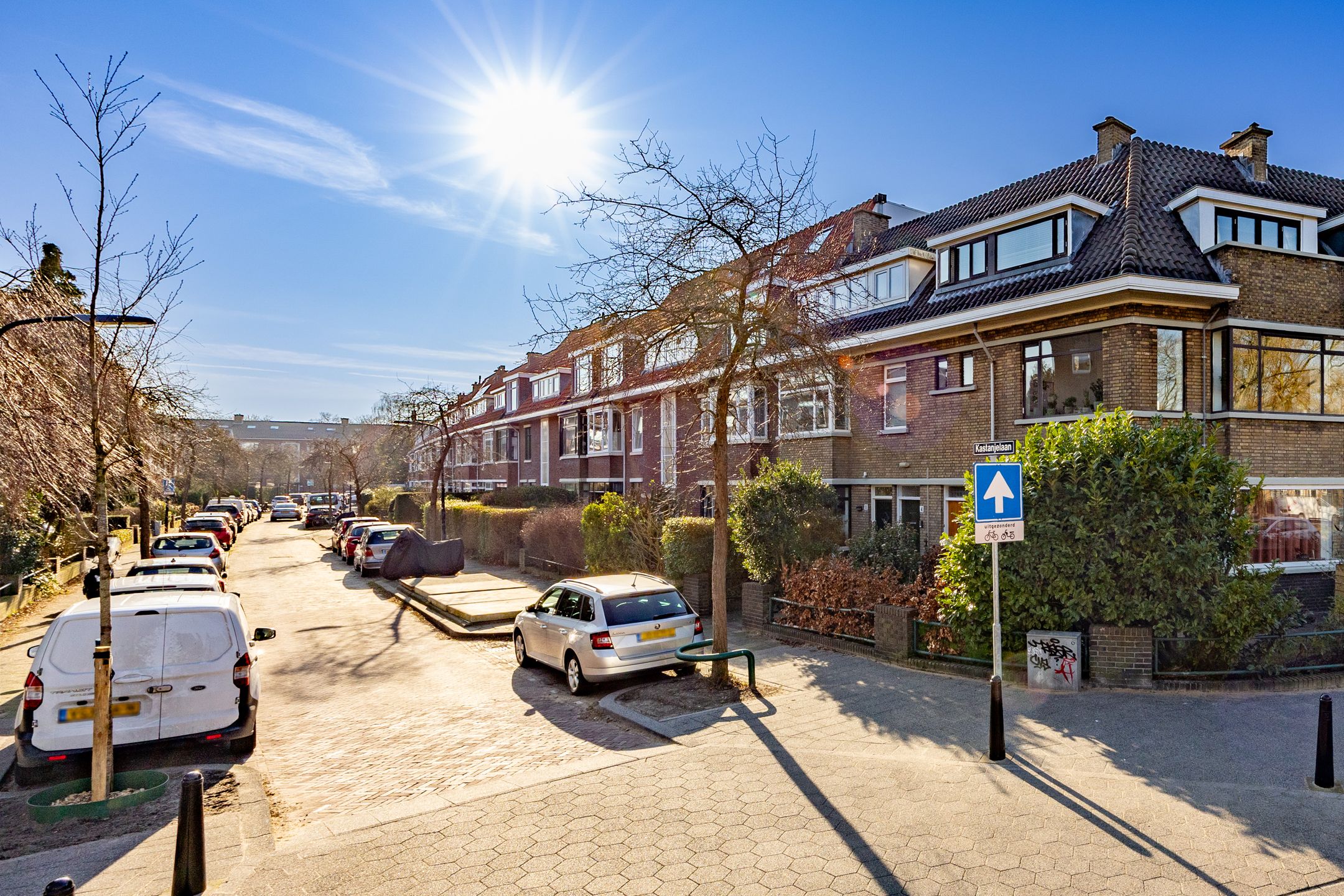 Foto 33 van Kastanjelaan 64